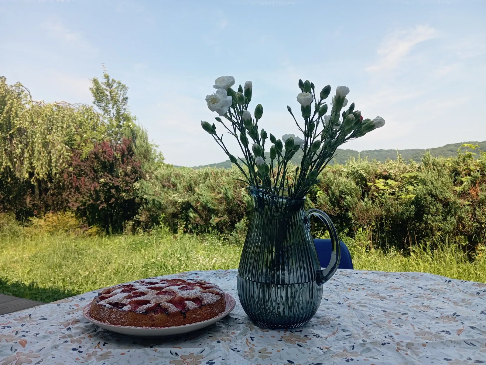 cake with a view